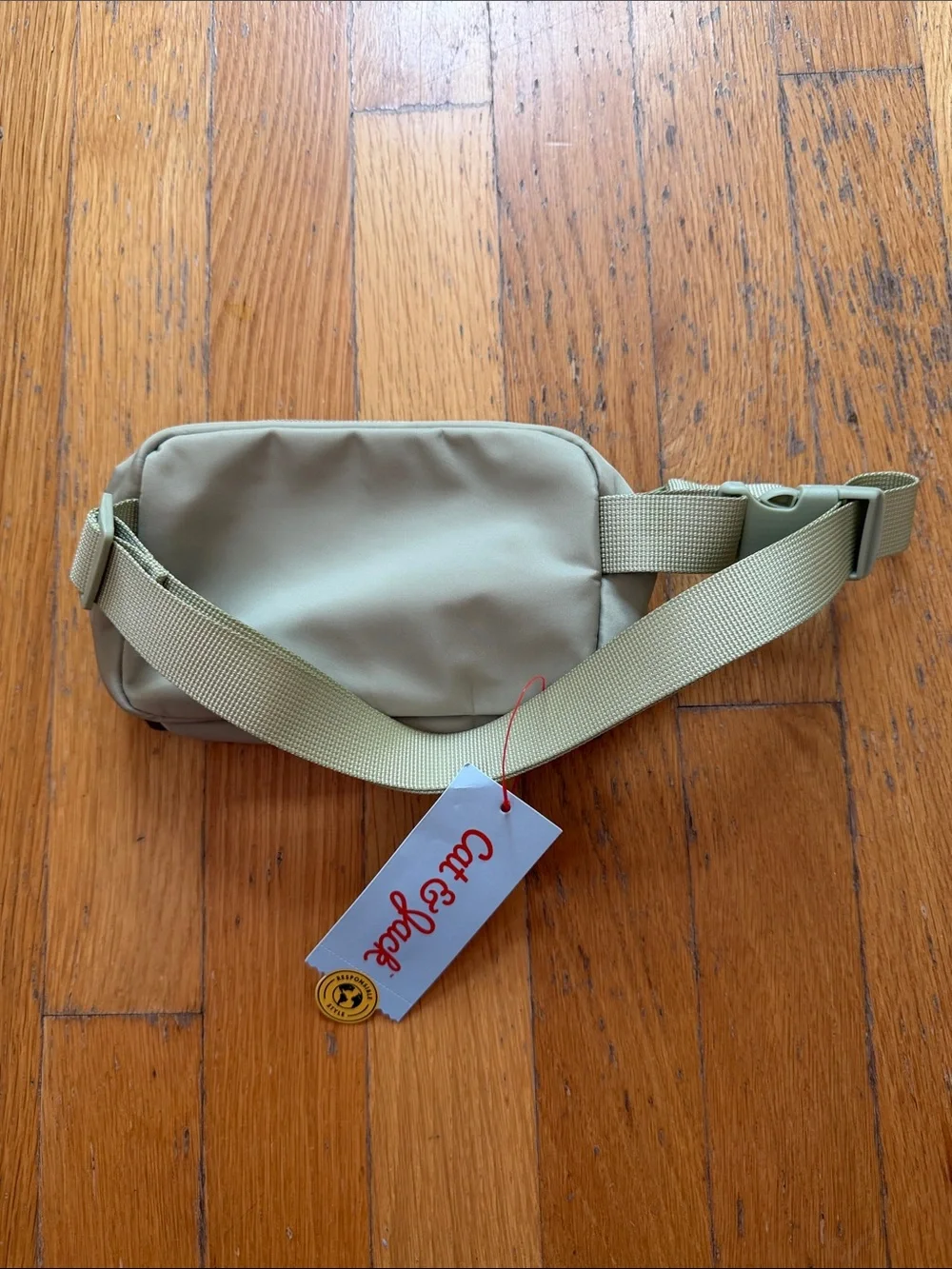 Dinosaur Belt Bag